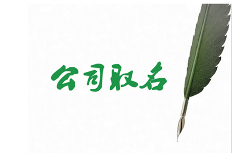 河南掌上登記名稱登記上傳資料哪里必須填嗎？