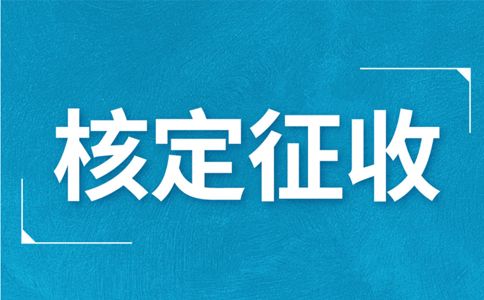 江西大額個體戶核定征收標(biāo)準(zhǔn)，2024年最新政策